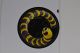Raw Thrills Slither Player 1 Yellow Spinner Top Decal