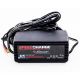 Valley/Dynamo 3 Amp High Power Battery Charger 