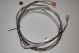 BAY TEK GLOBE LIGHT CABLE