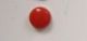 Benchmark Large Red Screw Cap