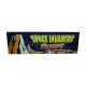 Raw Thrills SIF Seat Cab Rear Lower Decal