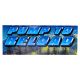 Raw Thrills BBHD Pump To Reload Decal